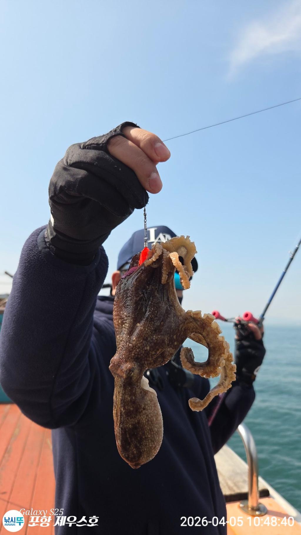 낚시뚜,쭈꾸미,영일만항,포항 제우스호,낚시뚜20