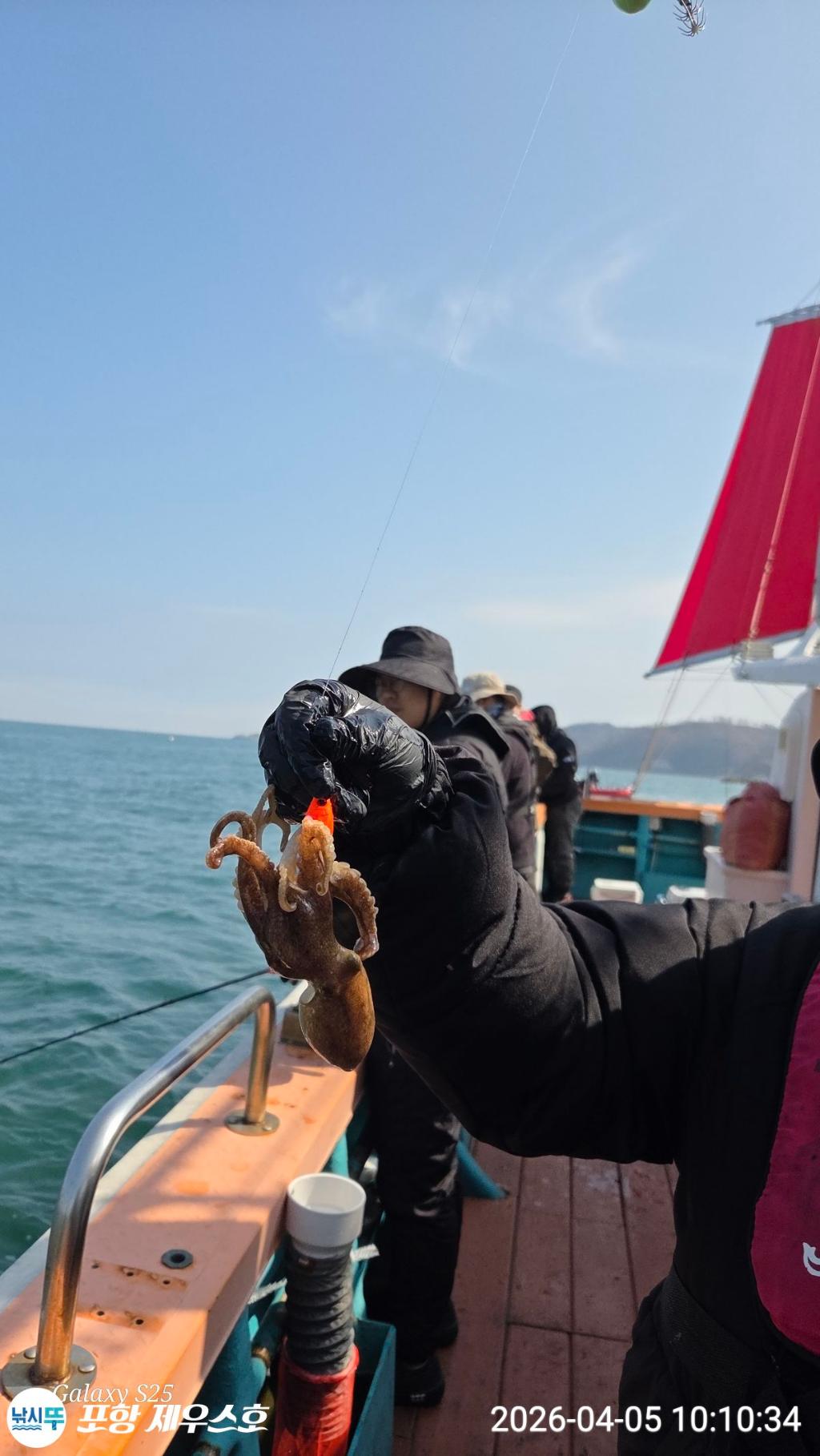 낚시뚜,쭈꾸미,영일만항,포항 제우스호,낚시뚜11