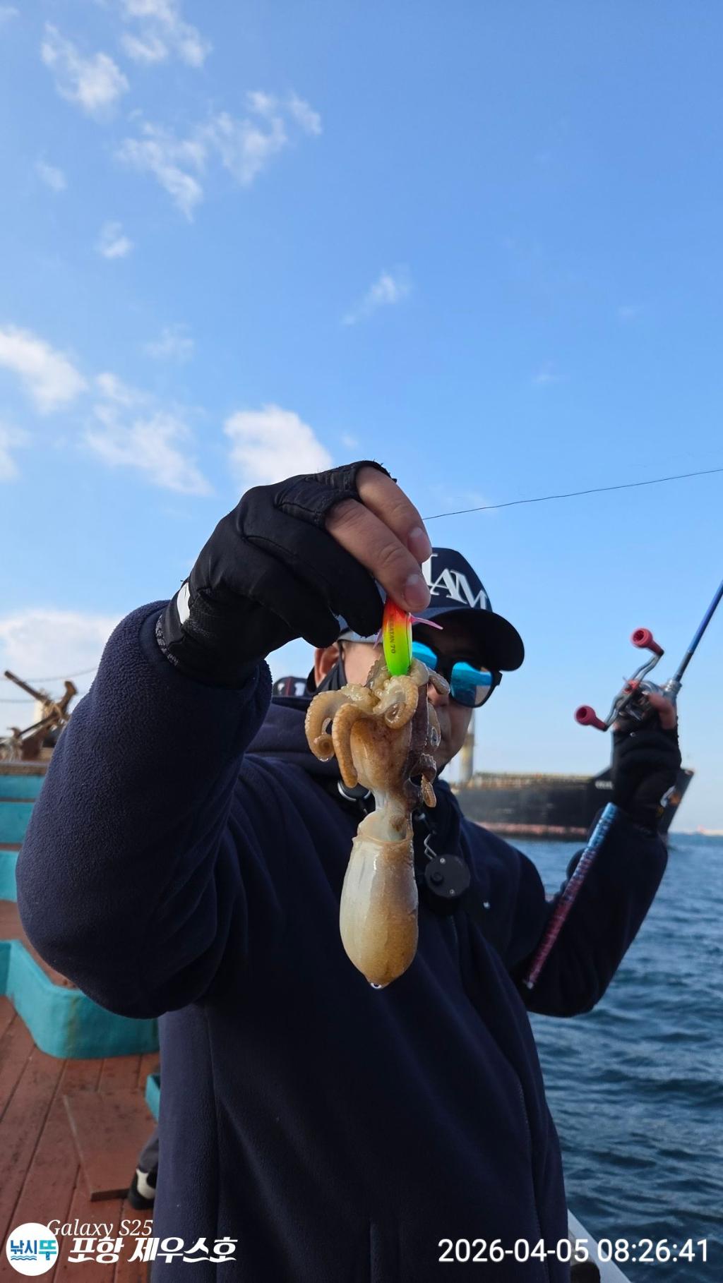 낚시뚜,쭈꾸미,영일만항,포항 제우스호,낚시뚜9