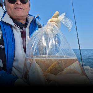 조황, 6일)도다리 참가자미 월 모집 중입니다