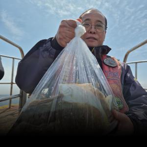 조황, 5일 왕도다리 참가자미 대박