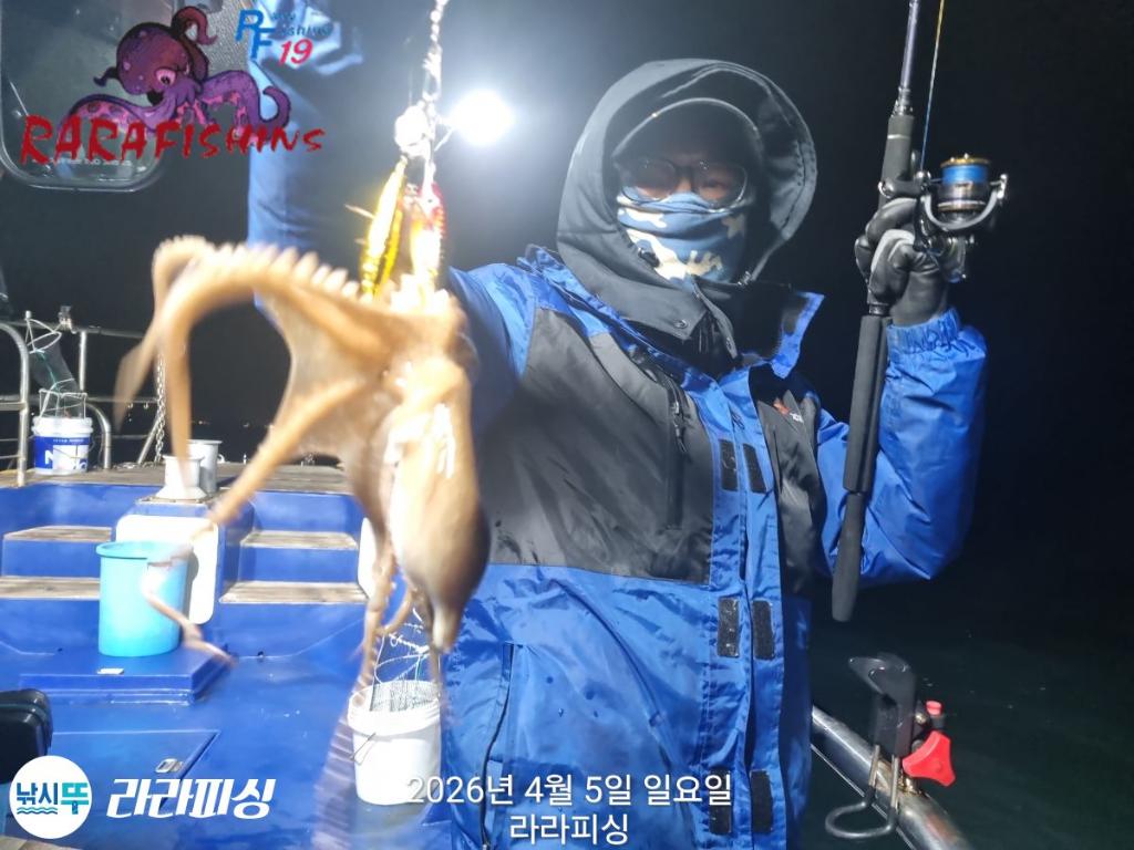 낚시뚜,낙지,속천항(진해),라라피싱,낚시뚜0