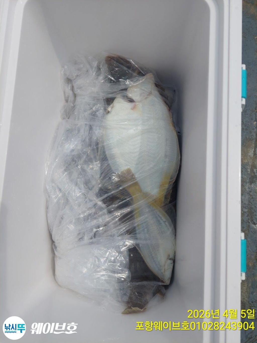 낚시뚜,도다리,가자미,구룡포항,뉴웨이브호,낚시뚜15