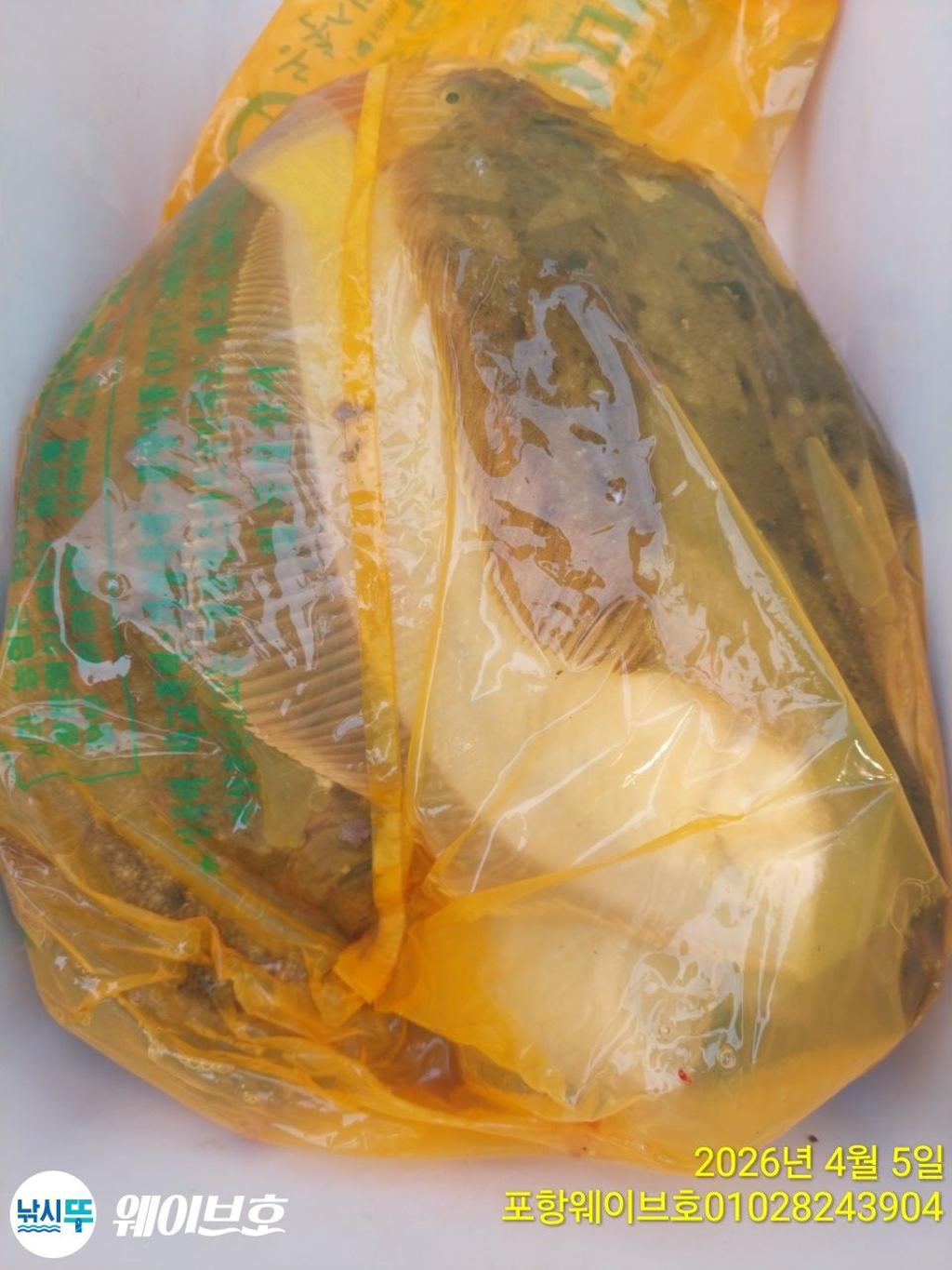 낚시뚜,도다리,가자미,구룡포항,뉴웨이브호,낚시뚜13