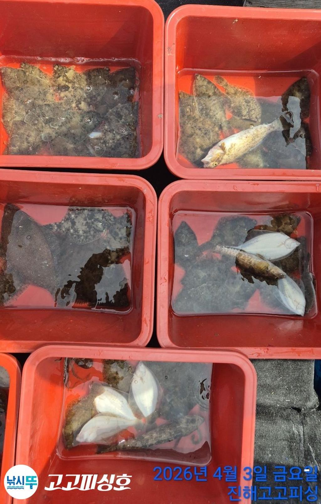 낚시뚜,,속천항(진해),고고피싱호,낚시뚜15