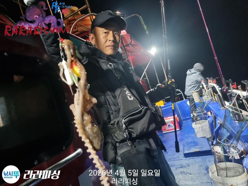낚시뚜,낙지,돌문어,속천항(진해),라라피싱,낚시뚜7