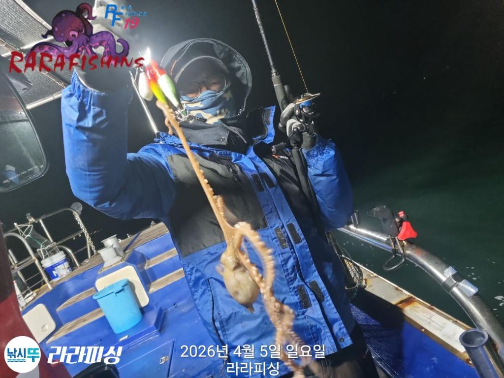 낚시뚜,낙지,돌문어,속천항(진해),라라피싱,낚시뚜1