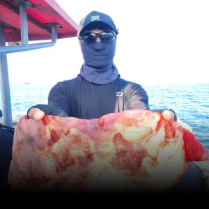 조황, 》최근 봄쭈알쭈 망티기 퍼레이드!《수,목 절찬예약중!