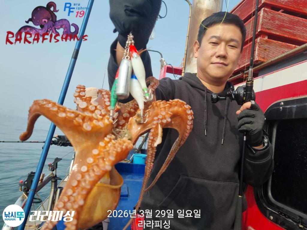 낚시뚜,낙지,돌문어,속천항(진해),라라피싱,낚시뚜23