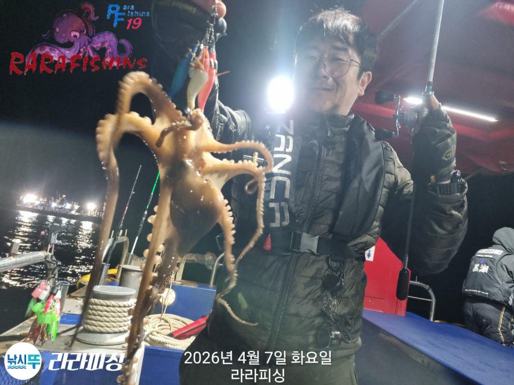 낚시뚜,낙지,돌문어,속천항(진해),라라피싱,낚시뚜5