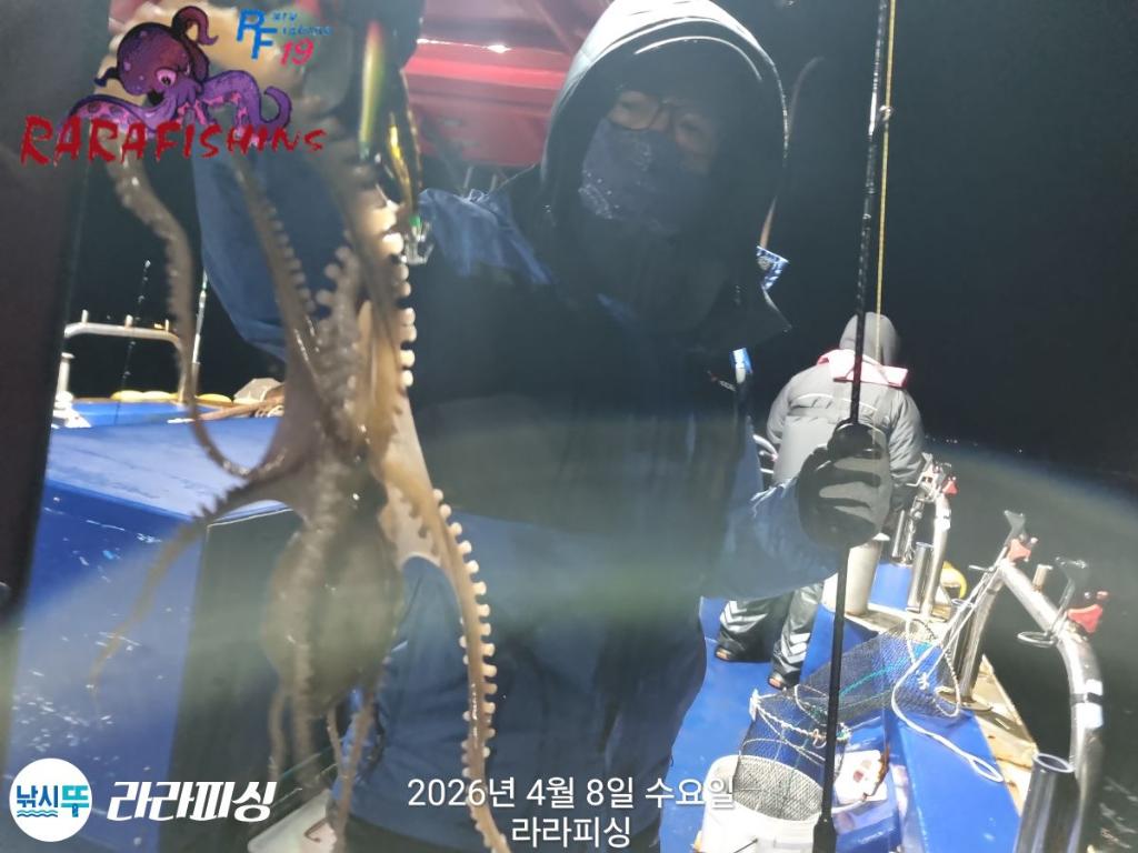 낚시뚜,낙지,돌문어,속천항(진해),라라피싱,낚시뚜12