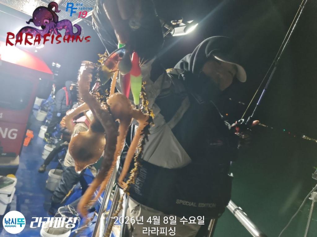 낚시뚜,낙지,돌문어,속천항(진해),라라피싱,낚시뚜6