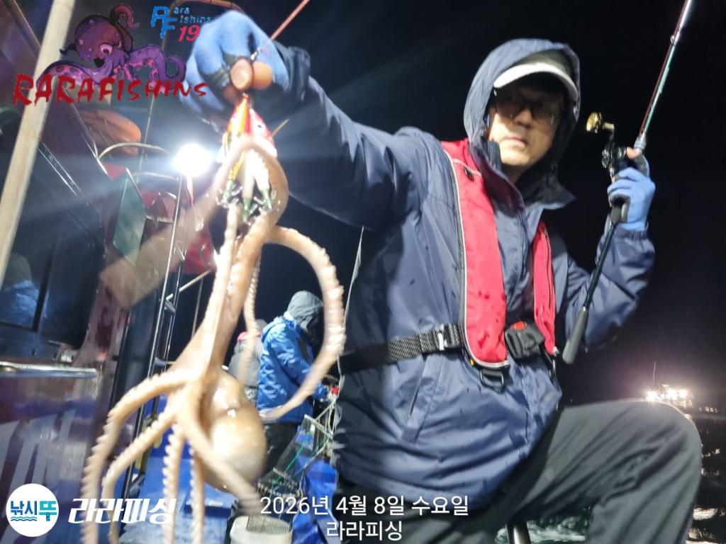 낚시뚜,낙지,돌문어,속천항(진해),라라피싱,낚시뚜2