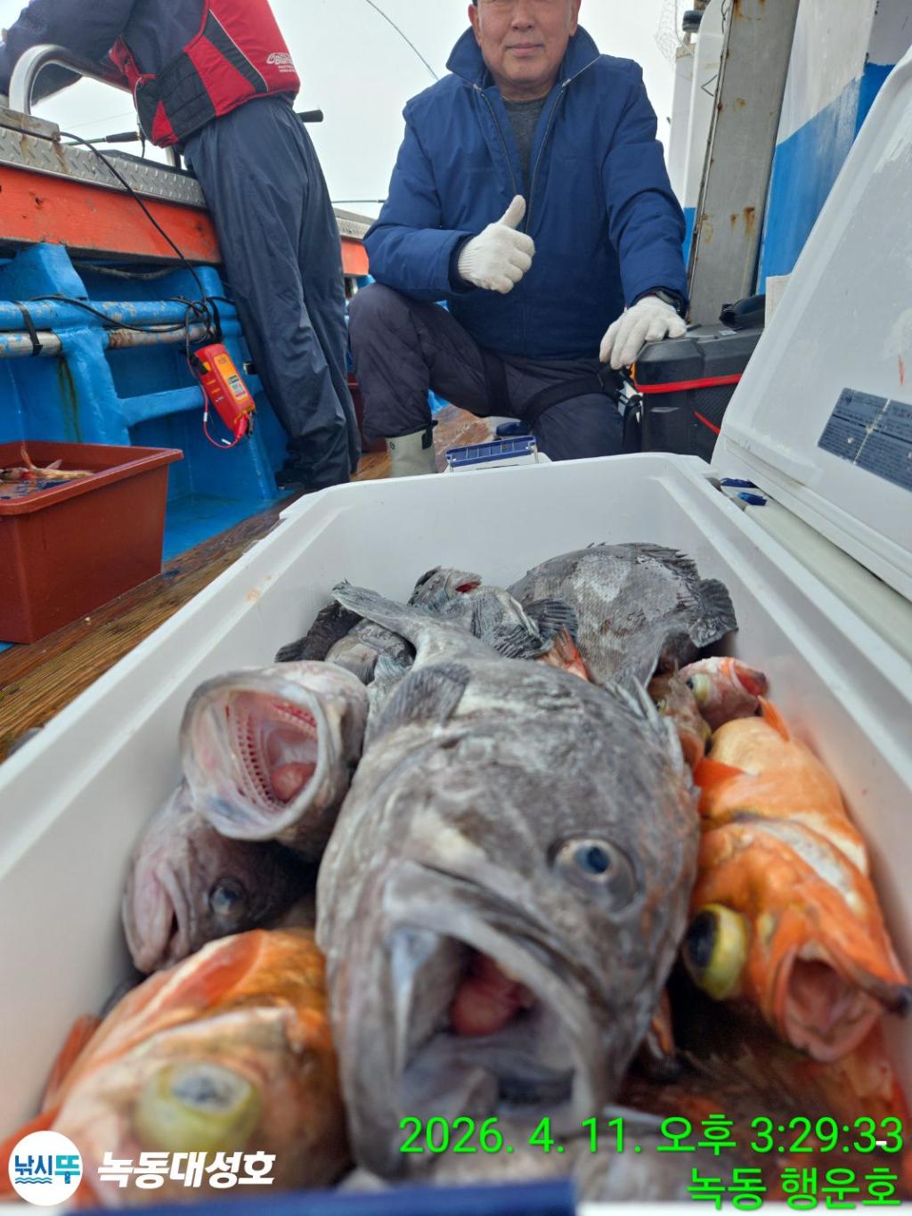 낚시뚜,우럭,열기,녹동항,녹동대성호,낚시뚜33