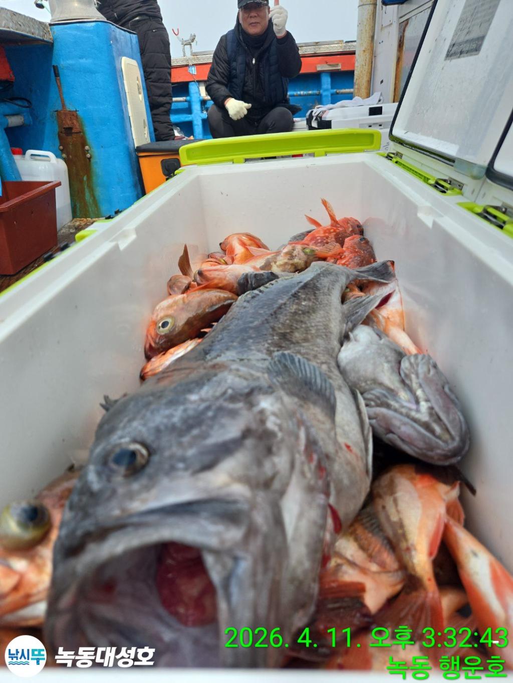 낚시뚜,우럭,열기,녹동항,녹동대성호,낚시뚜31