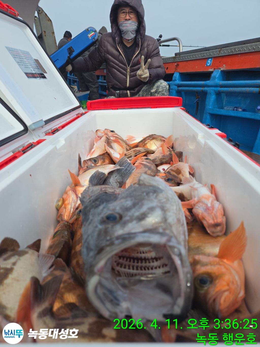 낚시뚜,우럭,열기,녹동항,녹동대성호,낚시뚜30