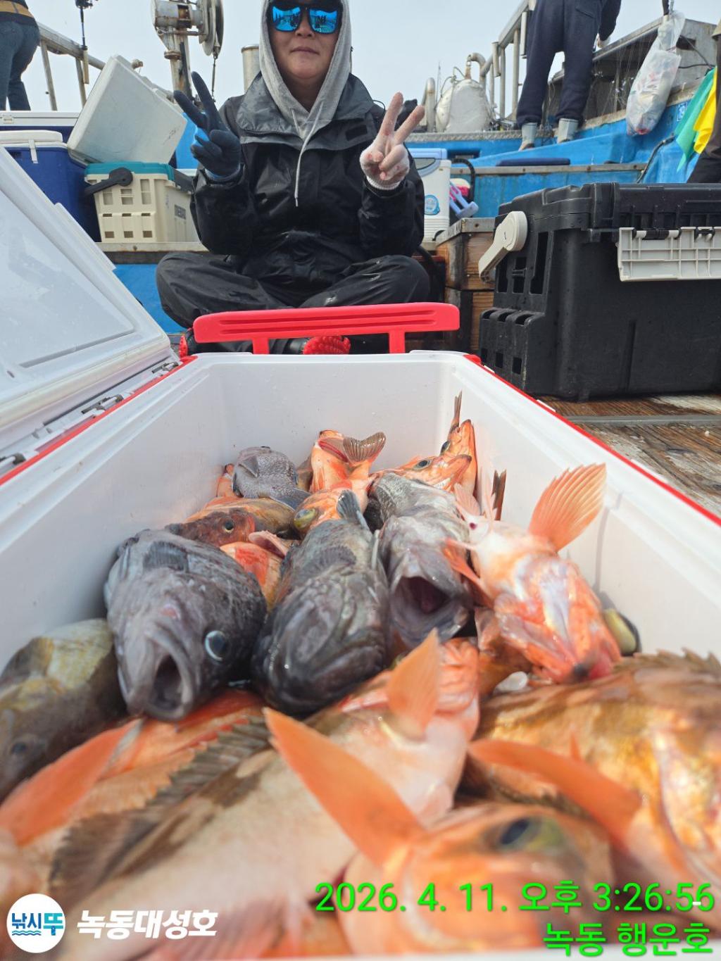 낚시뚜,우럭,열기,녹동항,녹동대성호,낚시뚜29