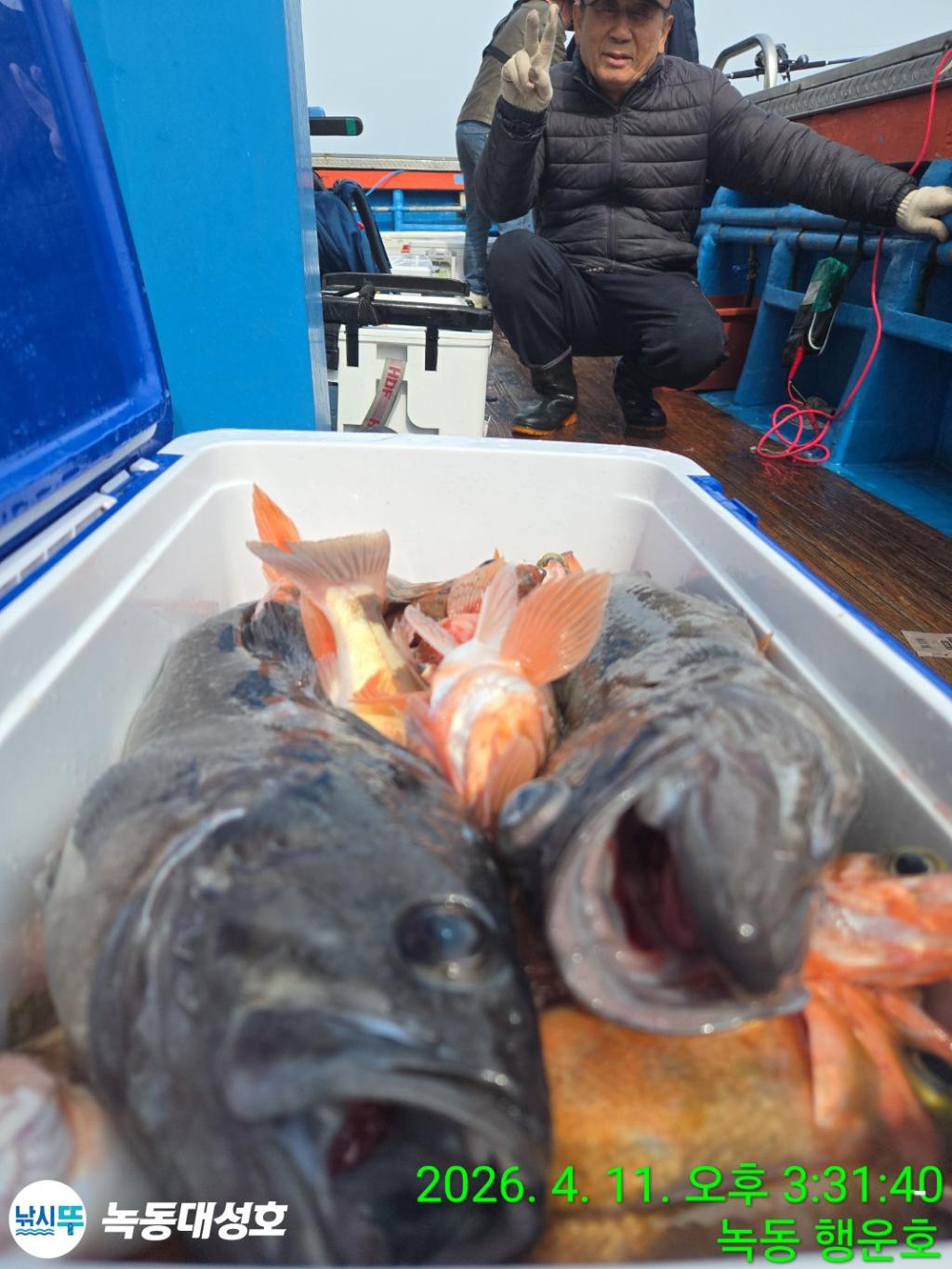 낚시뚜,우럭,열기,녹동항,녹동대성호,낚시뚜28