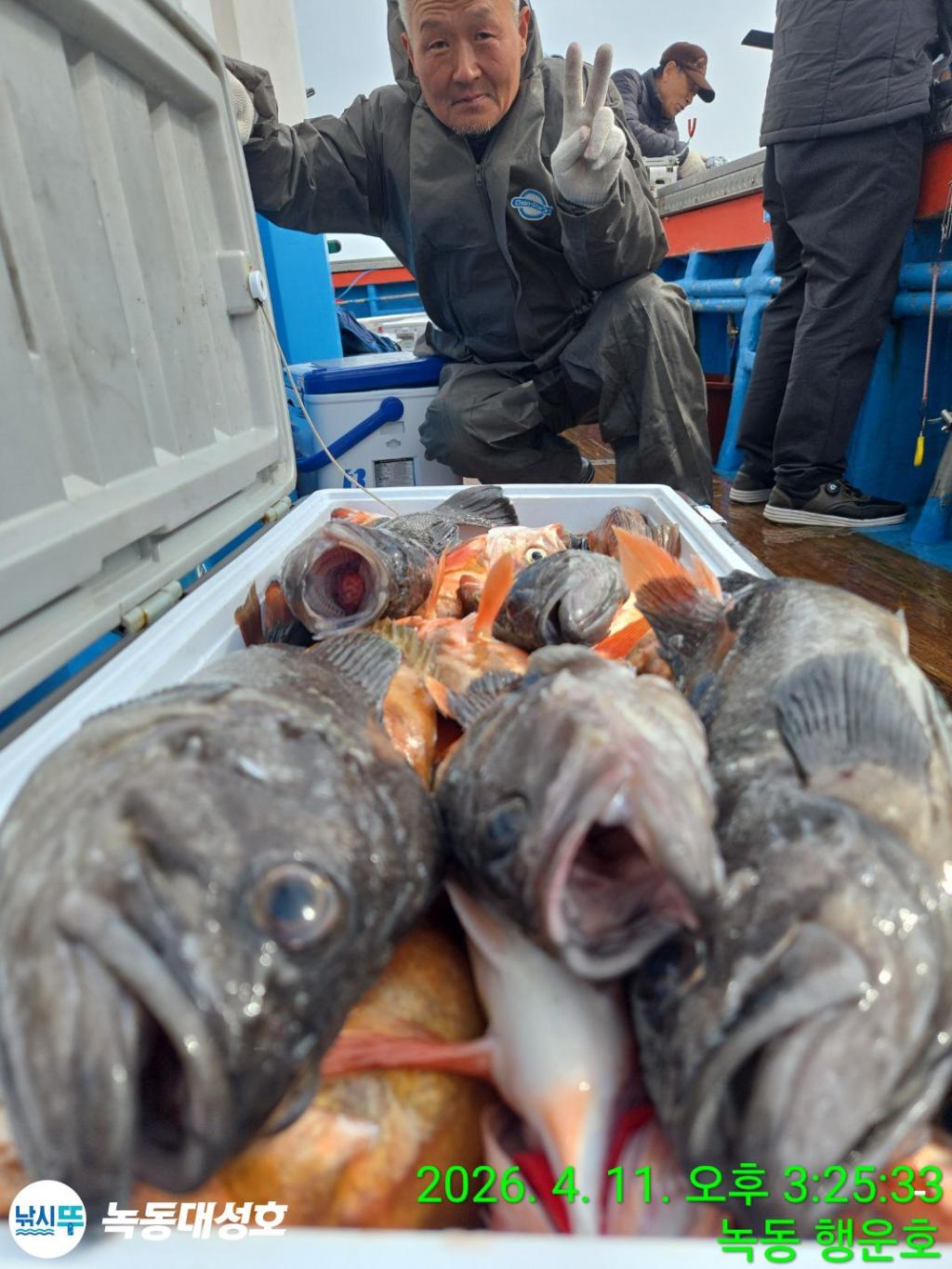 낚시뚜,우럭,열기,녹동항,녹동대성호,낚시뚜27