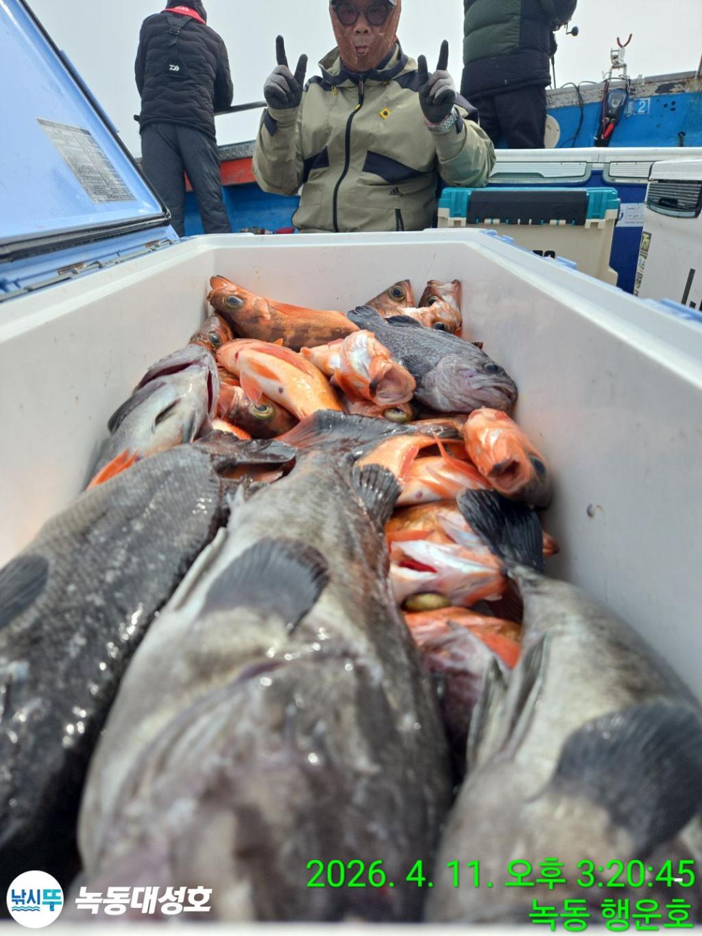 낚시뚜,우럭,열기,녹동항,녹동대성호,낚시뚜25