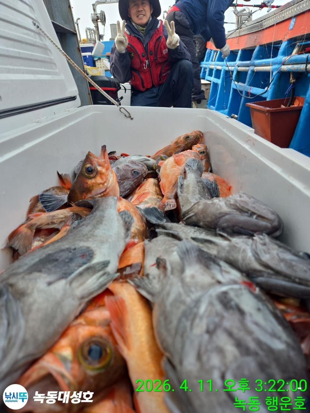 낚시뚜,우럭,열기,녹동항,녹동대성호,낚시뚜24