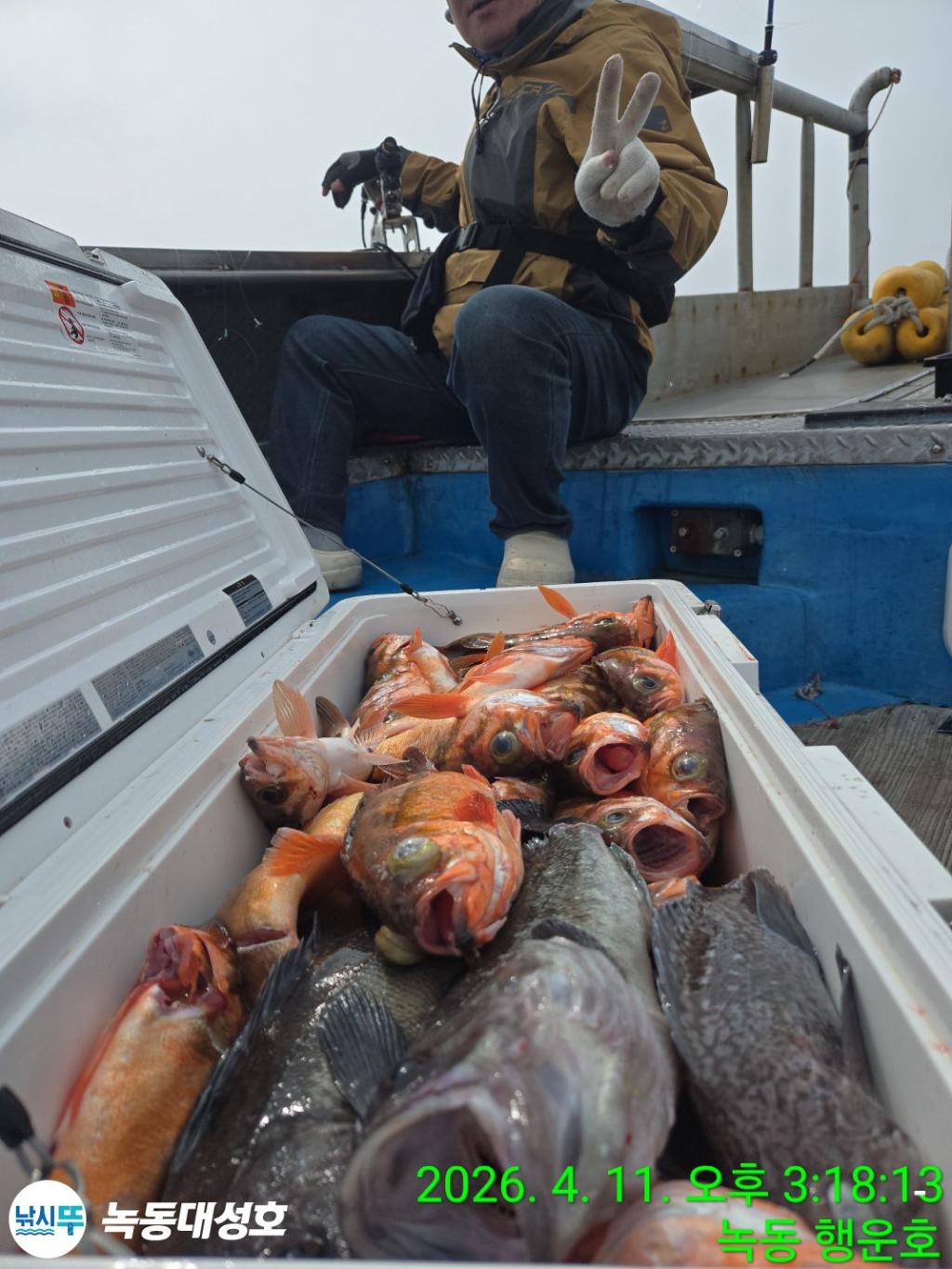 낚시뚜,우럭,열기,녹동항,녹동대성호,낚시뚜23