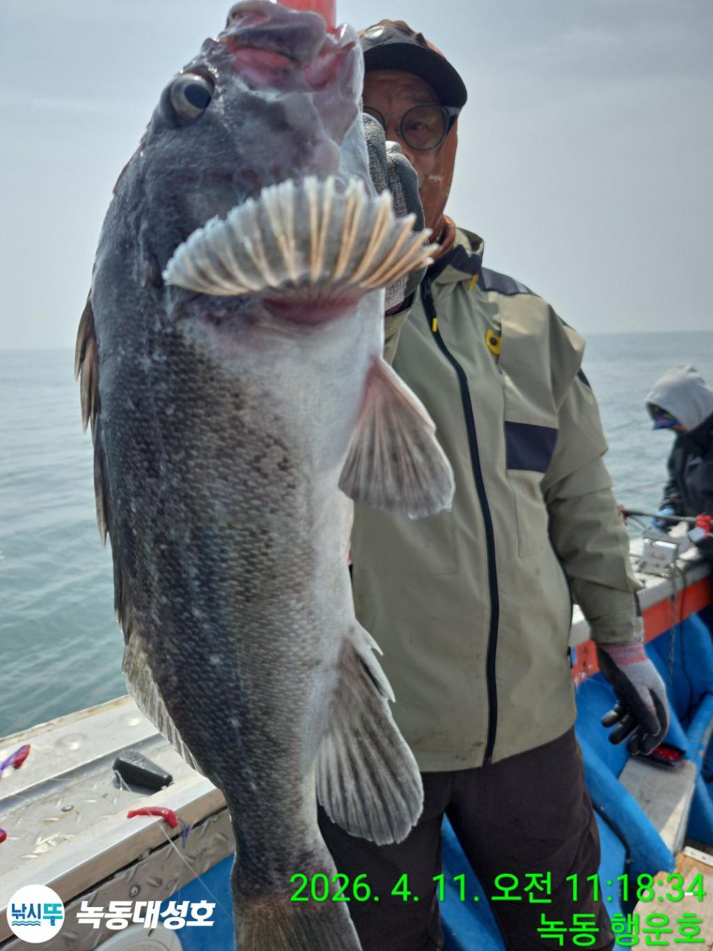 낚시뚜,우럭,열기,녹동항,녹동대성호,낚시뚜19