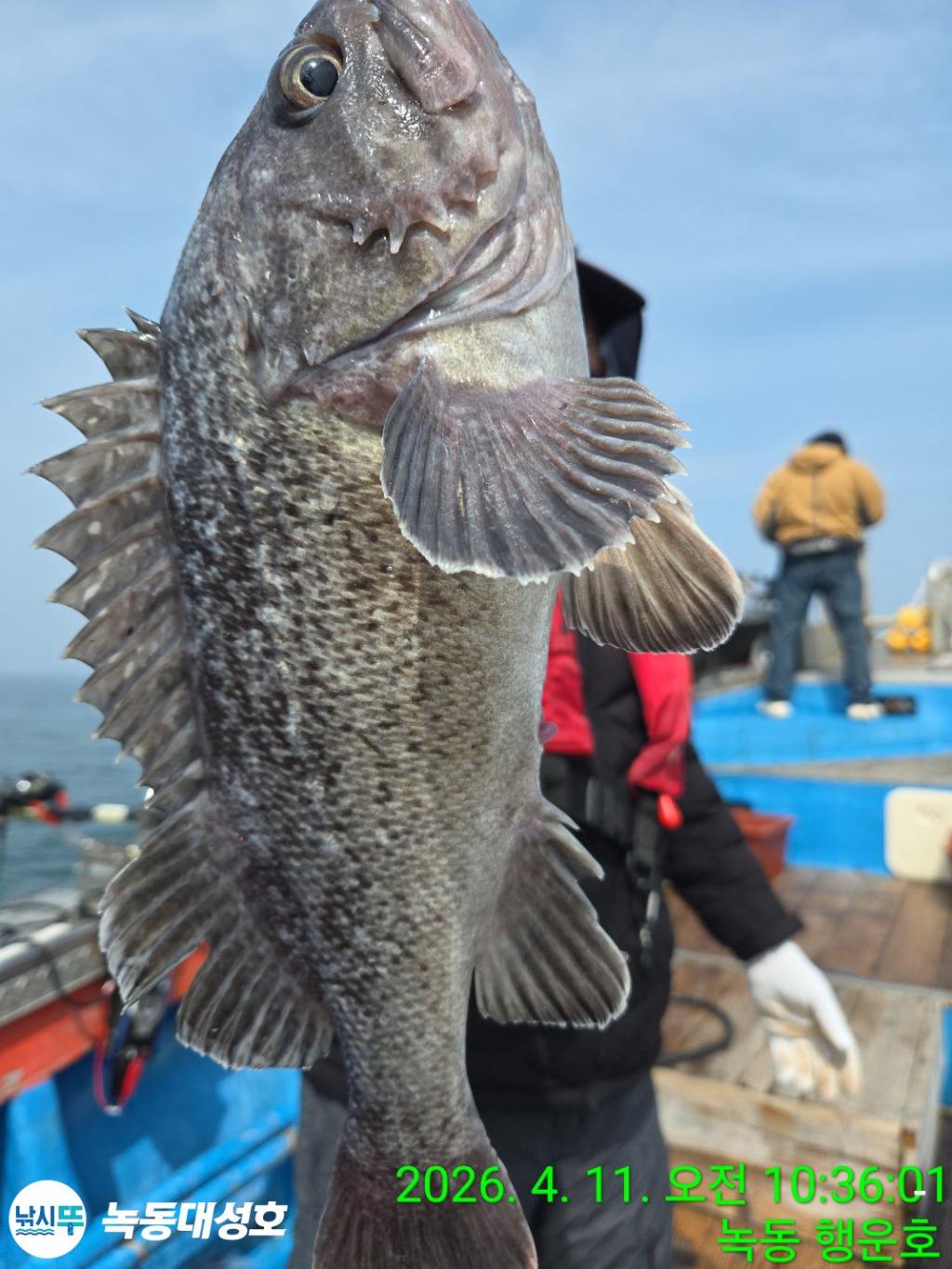 낚시뚜,우럭,열기,녹동항,녹동대성호,낚시뚜18