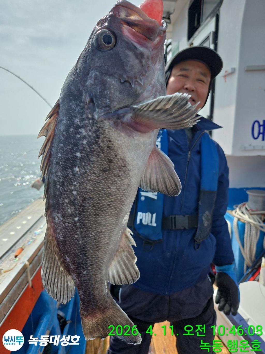 낚시뚜,우럭,열기,녹동항,녹동대성호,낚시뚜17