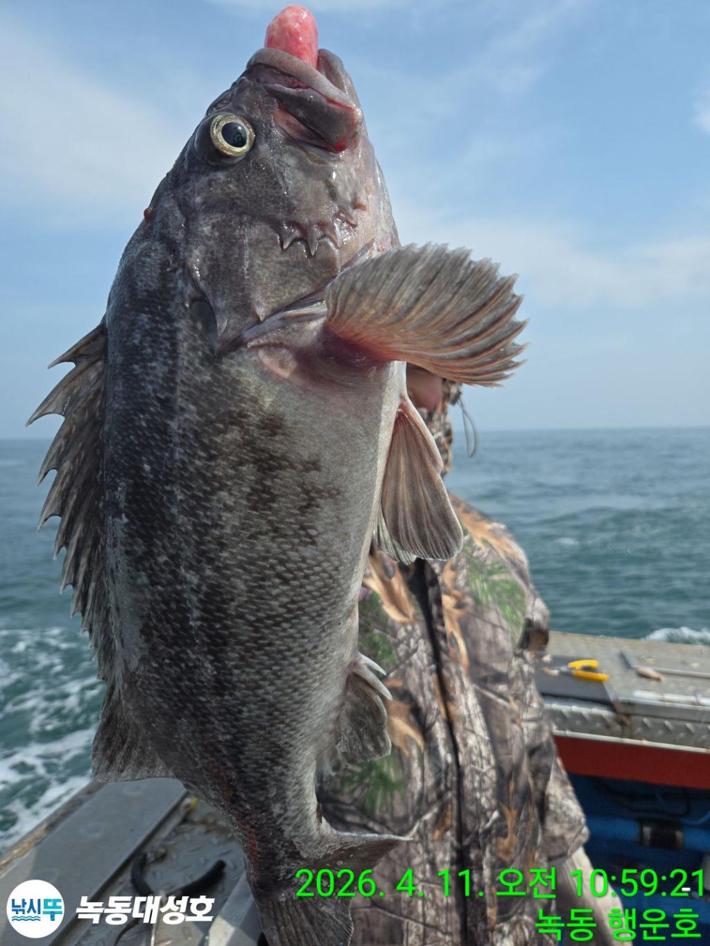 낚시뚜,우럭,열기,녹동항,녹동대성호,낚시뚜16