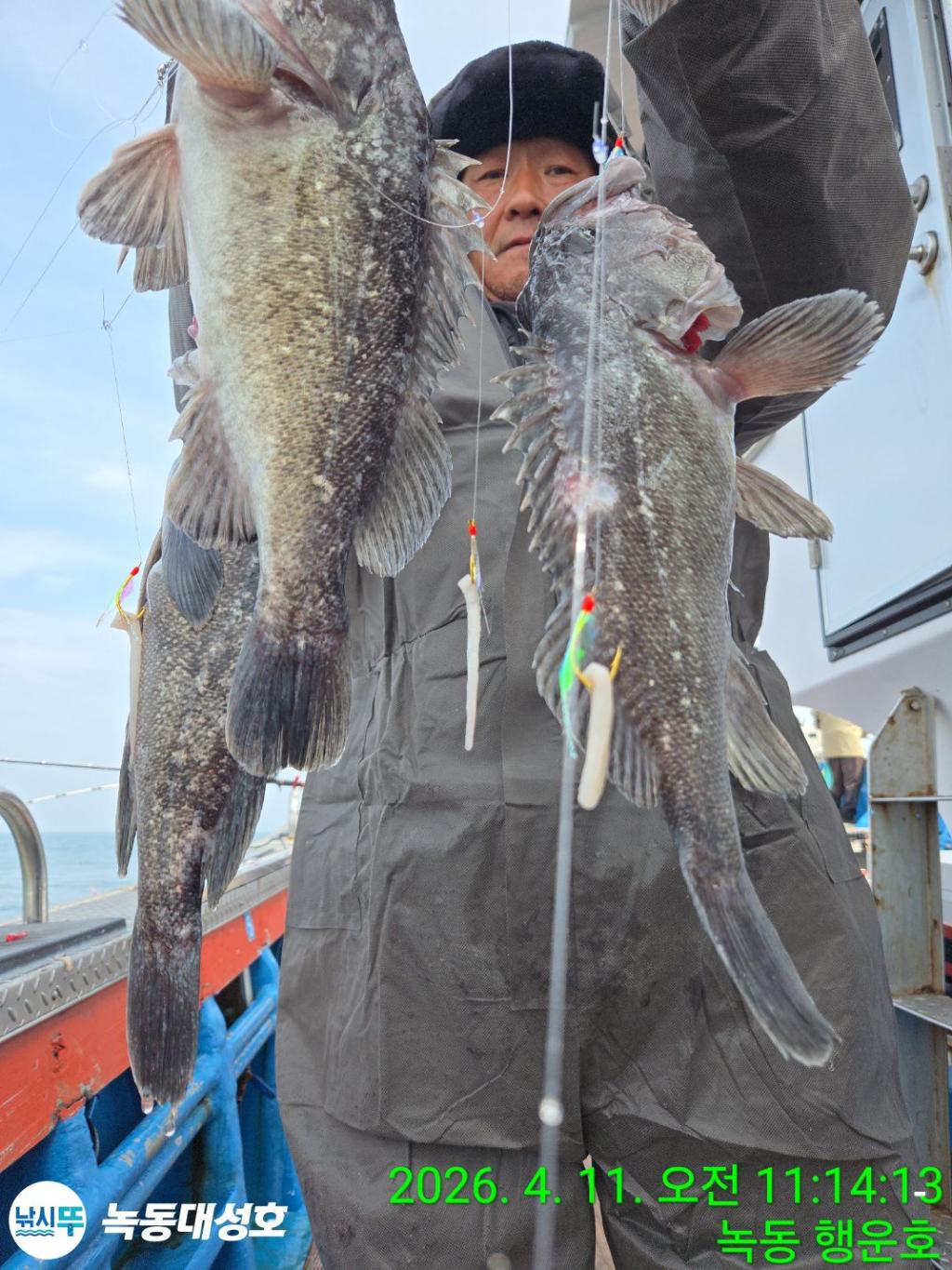 낚시뚜,우럭,열기,녹동항,녹동대성호,낚시뚜14