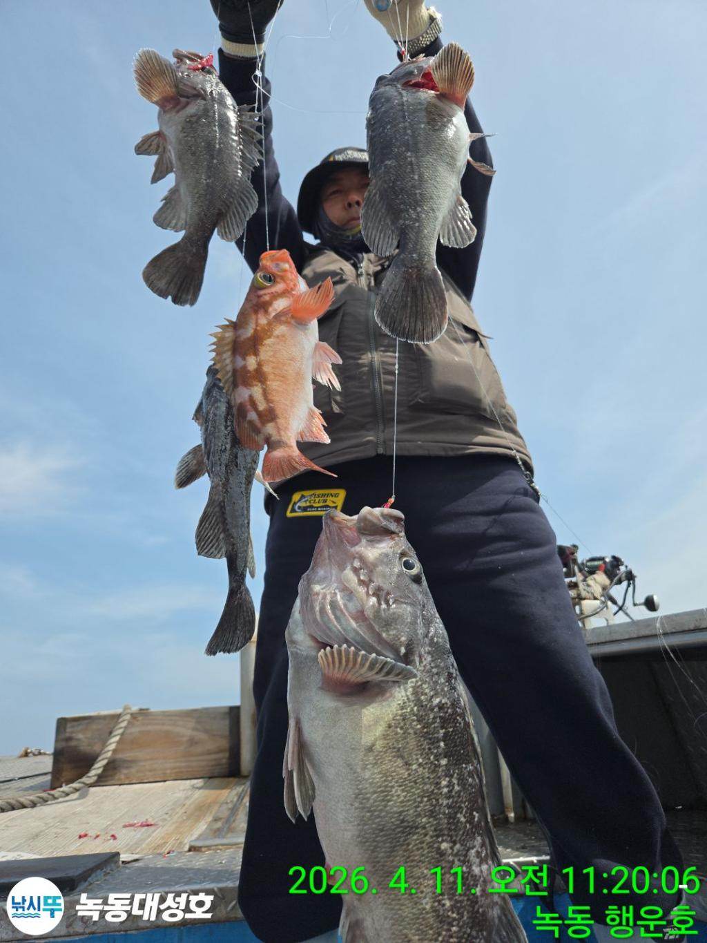 낚시뚜,우럭,열기,녹동항,녹동대성호,낚시뚜12