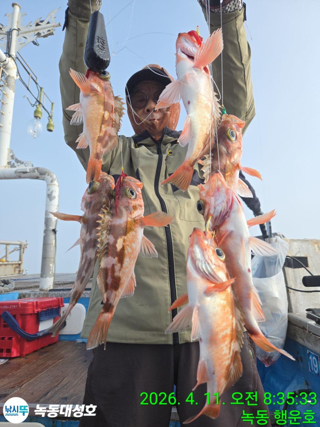 낚시뚜,우럭,열기,녹동항,녹동대성호,낚시뚜10