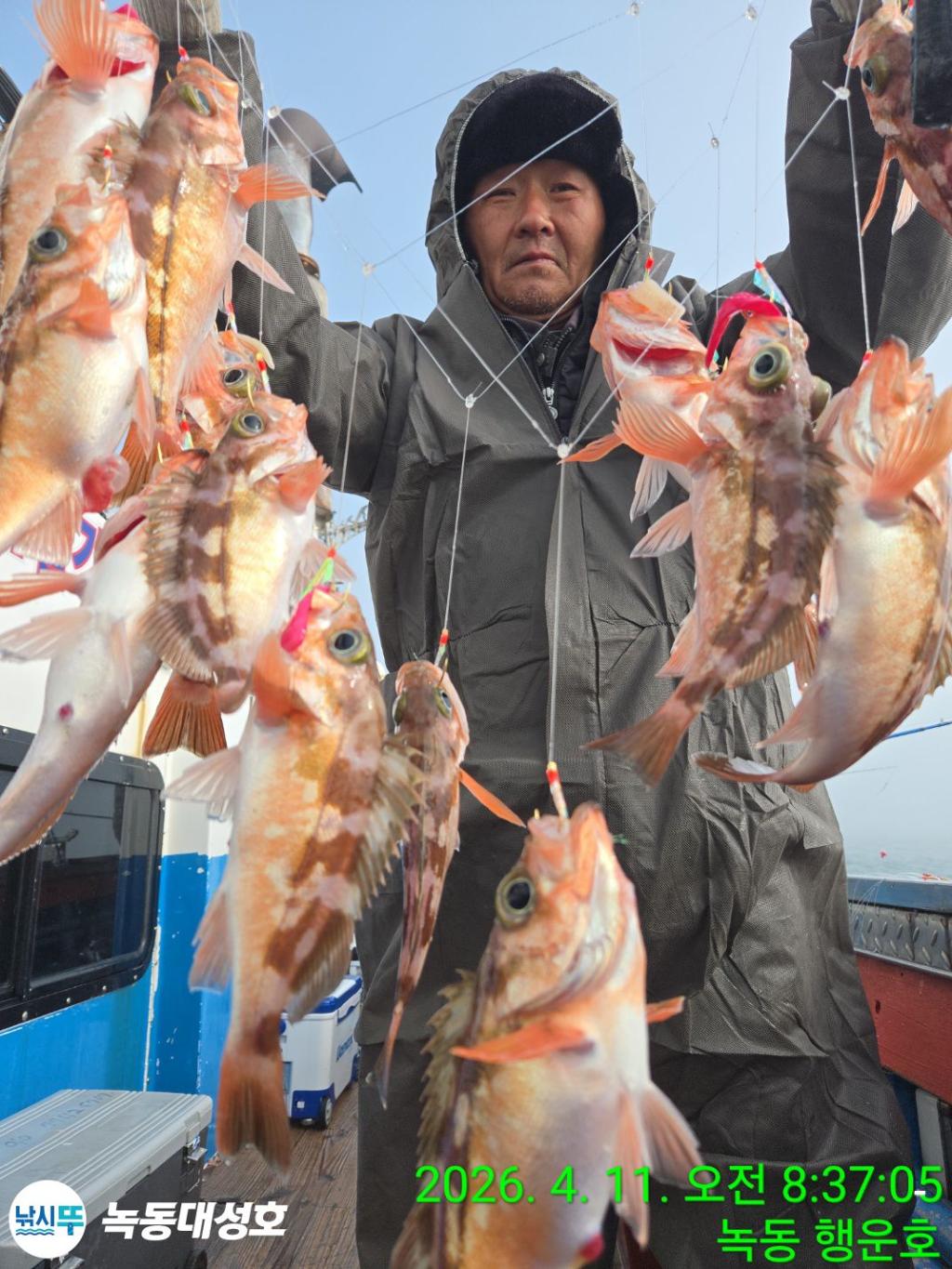 낚시뚜,우럭,열기,녹동항,녹동대성호,낚시뚜7