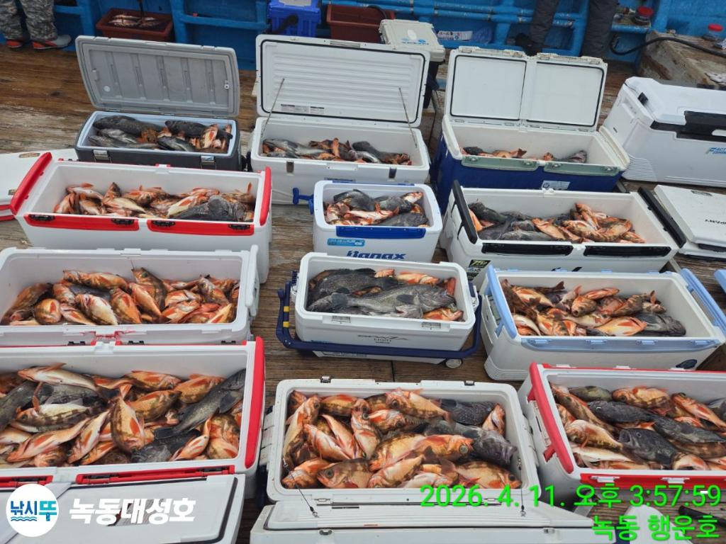 낚시뚜,우럭,열기,녹동항,녹동대성호,낚시뚜5