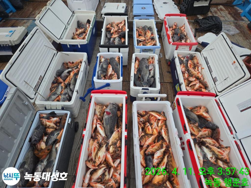 낚시뚜,우럭,열기,녹동항,녹동대성호,낚시뚜2