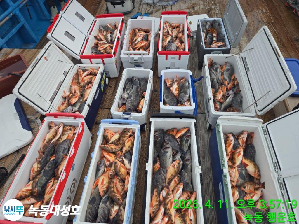 낚시뚜,우럭,열기,녹동항,녹동대성호,낚시뚜1