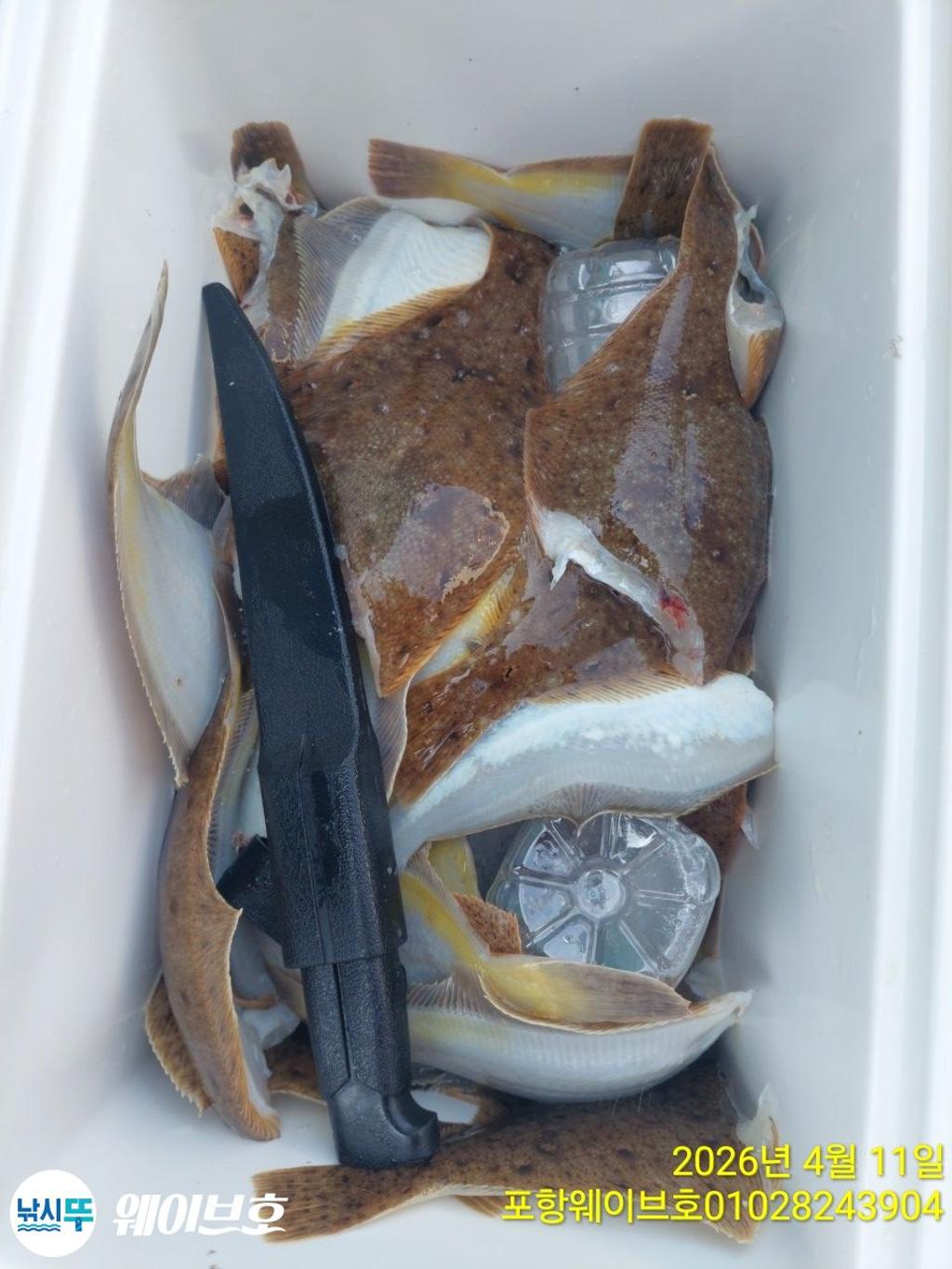 낚시뚜,도다리,가자미,구룡포항,뉴웨이브호,낚시뚜13