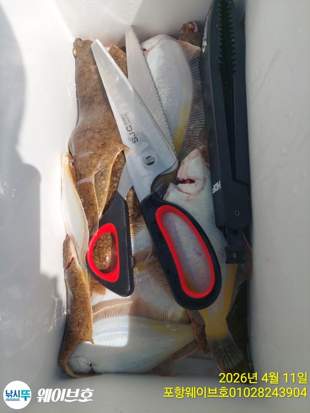 낚시뚜,도다리,가자미,구룡포항,뉴웨이브호,낚시뚜10