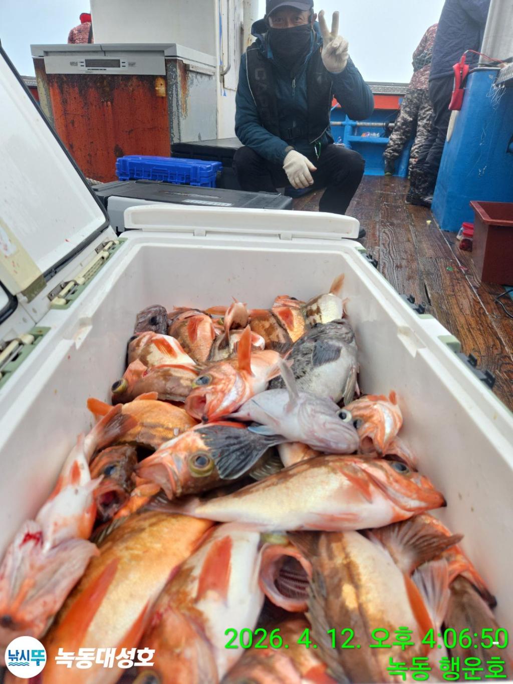 낚시뚜,열기,우럭,녹동항,녹동대성호,낚시뚜23