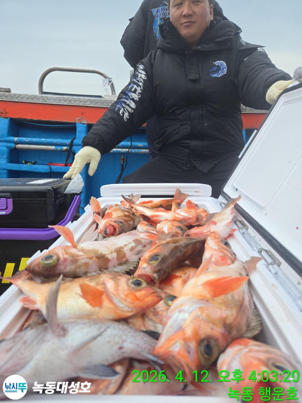 낚시뚜,열기,우럭,녹동항,녹동대성호,낚시뚜22