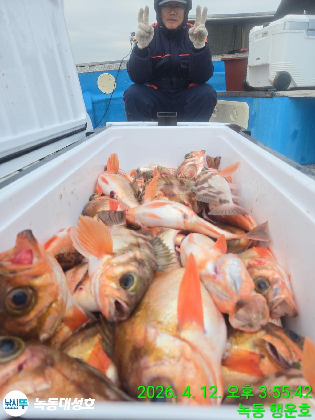 낚시뚜,열기,우럭,녹동항,녹동대성호,낚시뚜21