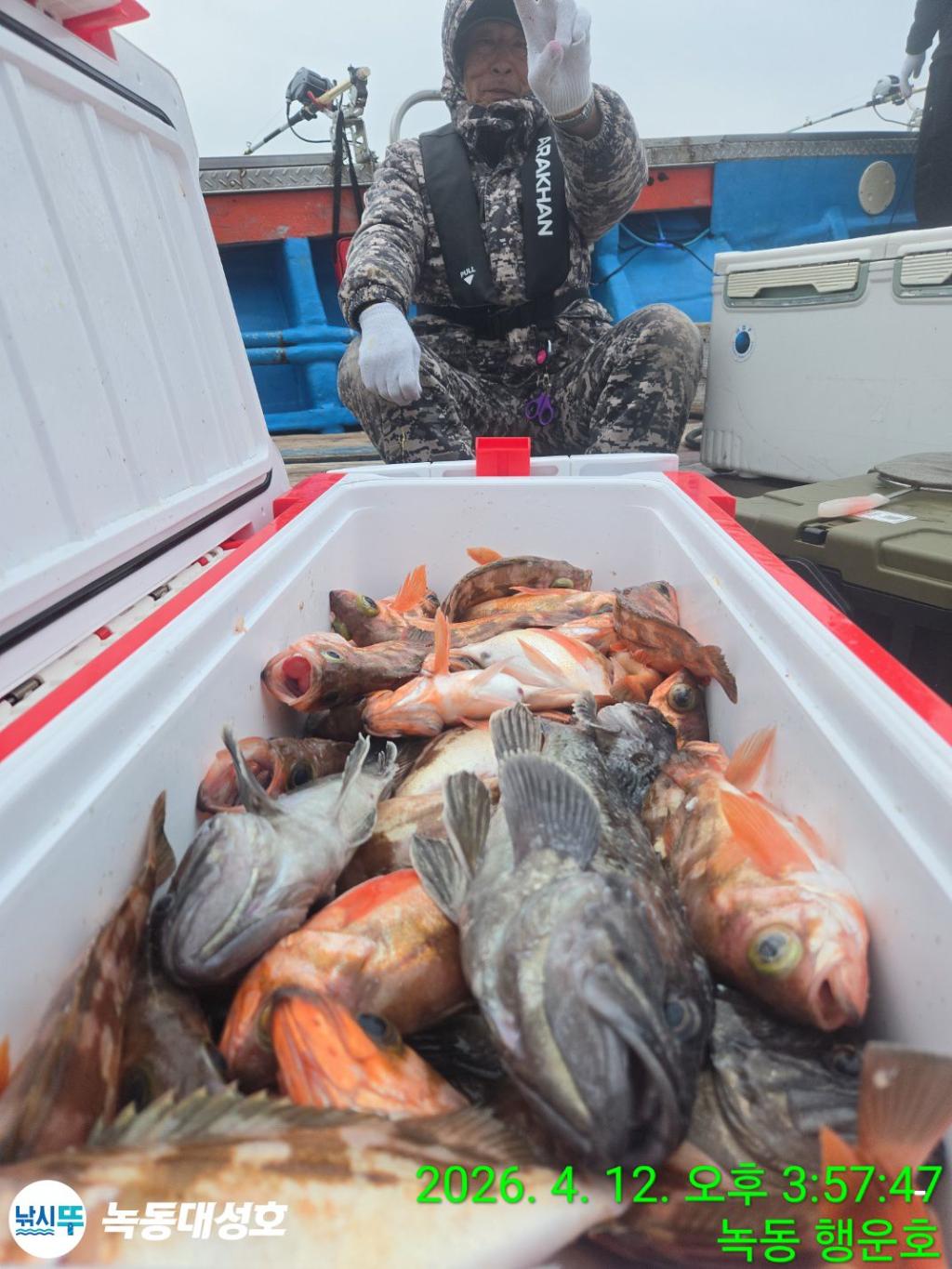 낚시뚜,열기,우럭,녹동항,녹동대성호,낚시뚜20