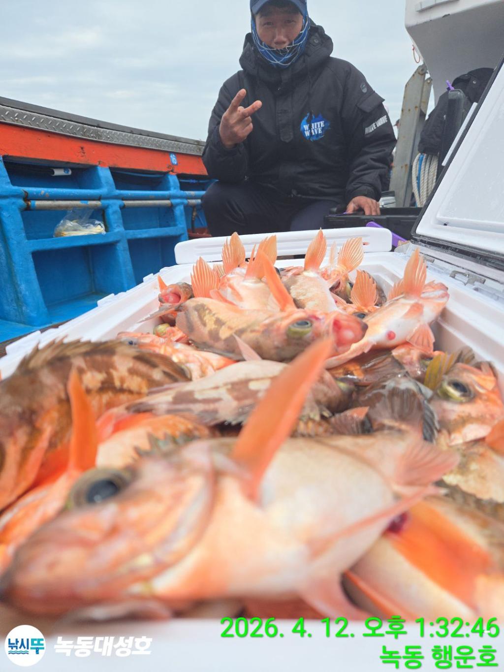 낚시뚜,열기,우럭,녹동항,녹동대성호,낚시뚜17