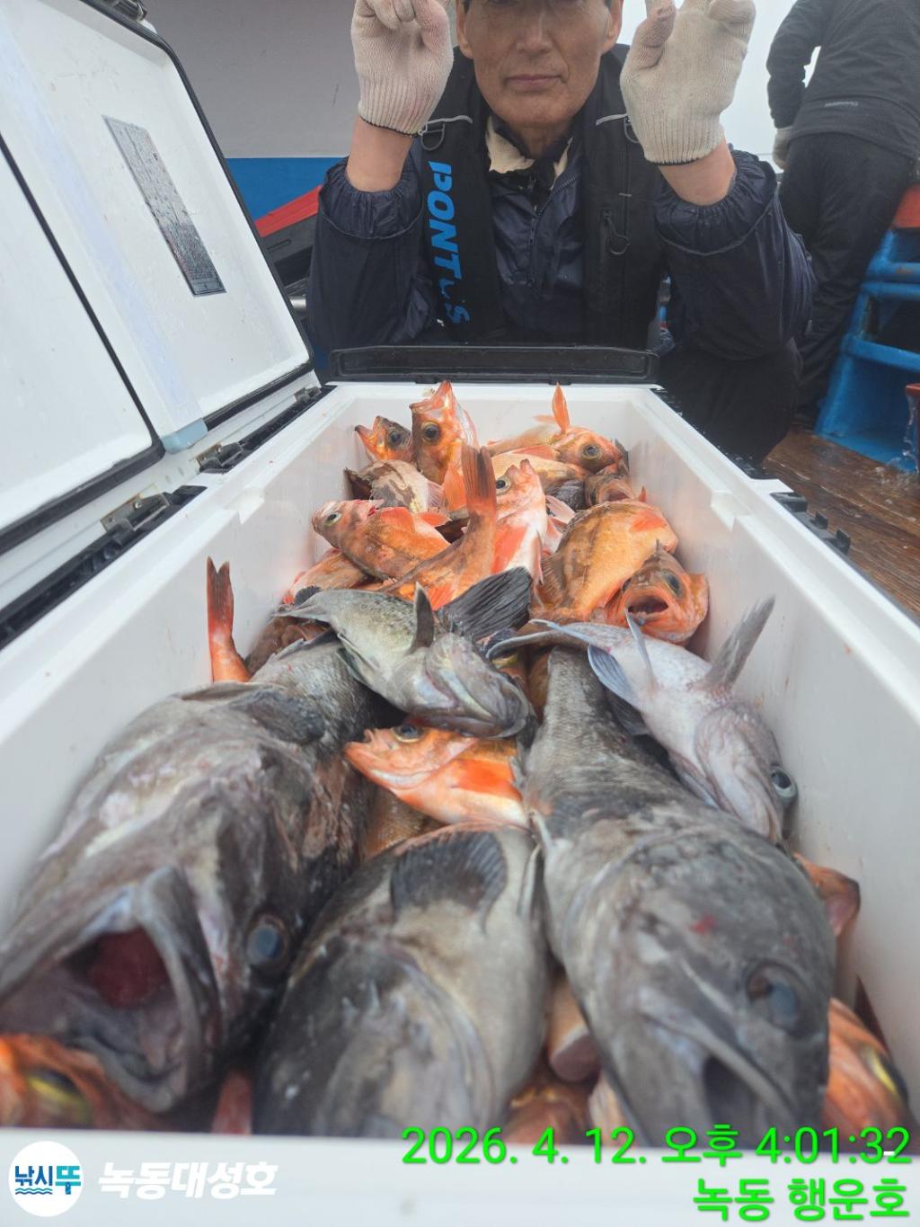 낚시뚜,열기,우럭,녹동항,녹동대성호,낚시뚜15