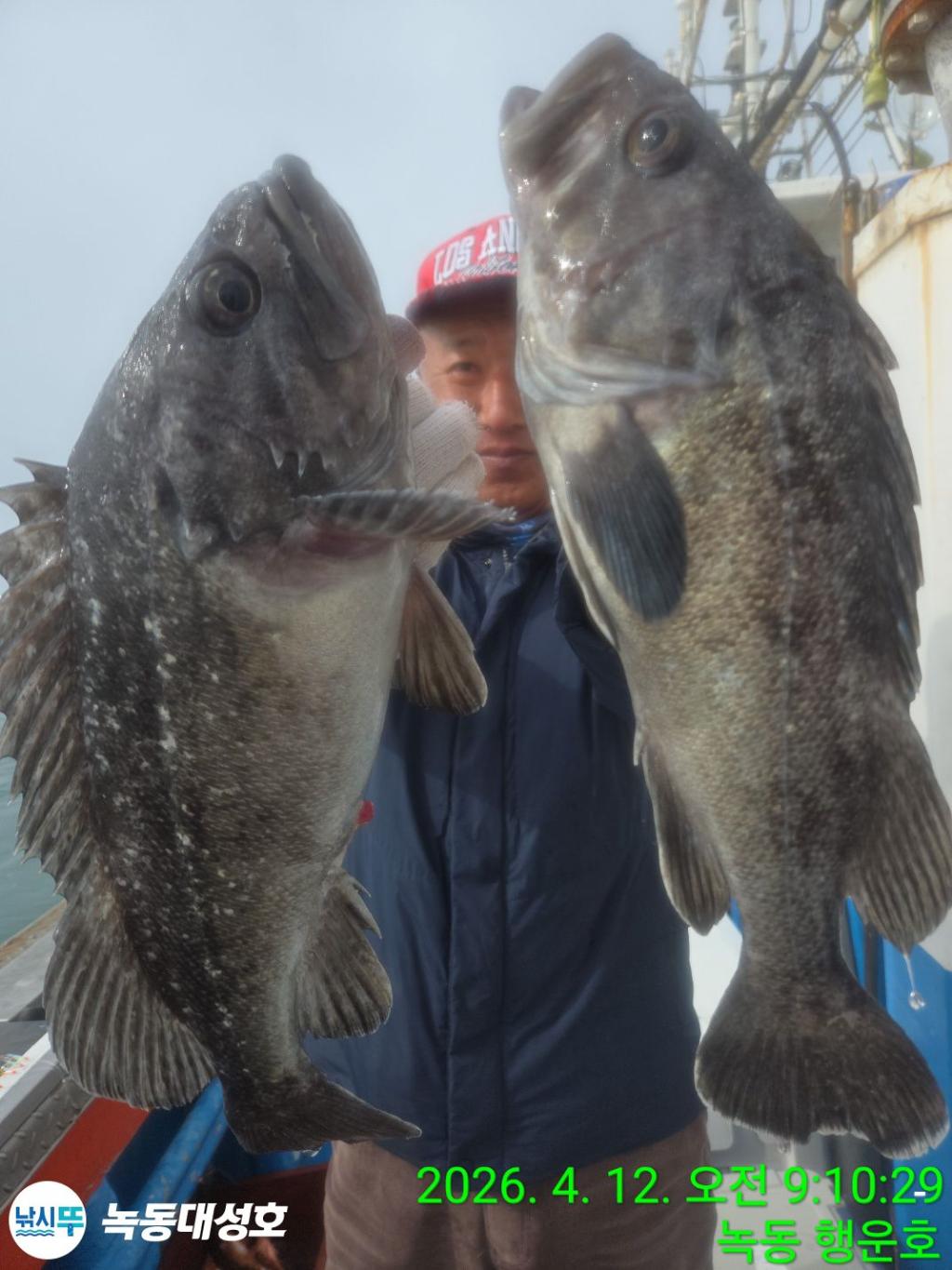 낚시뚜,열기,우럭,녹동항,녹동대성호,낚시뚜13