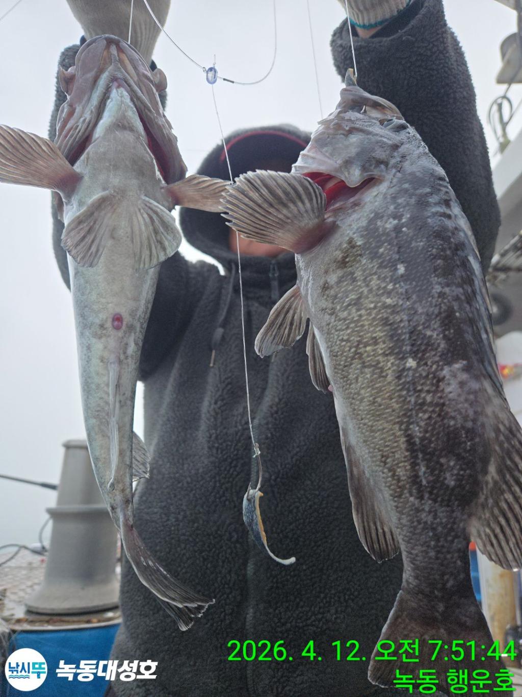 낚시뚜,열기,우럭,녹동항,녹동대성호,낚시뚜11