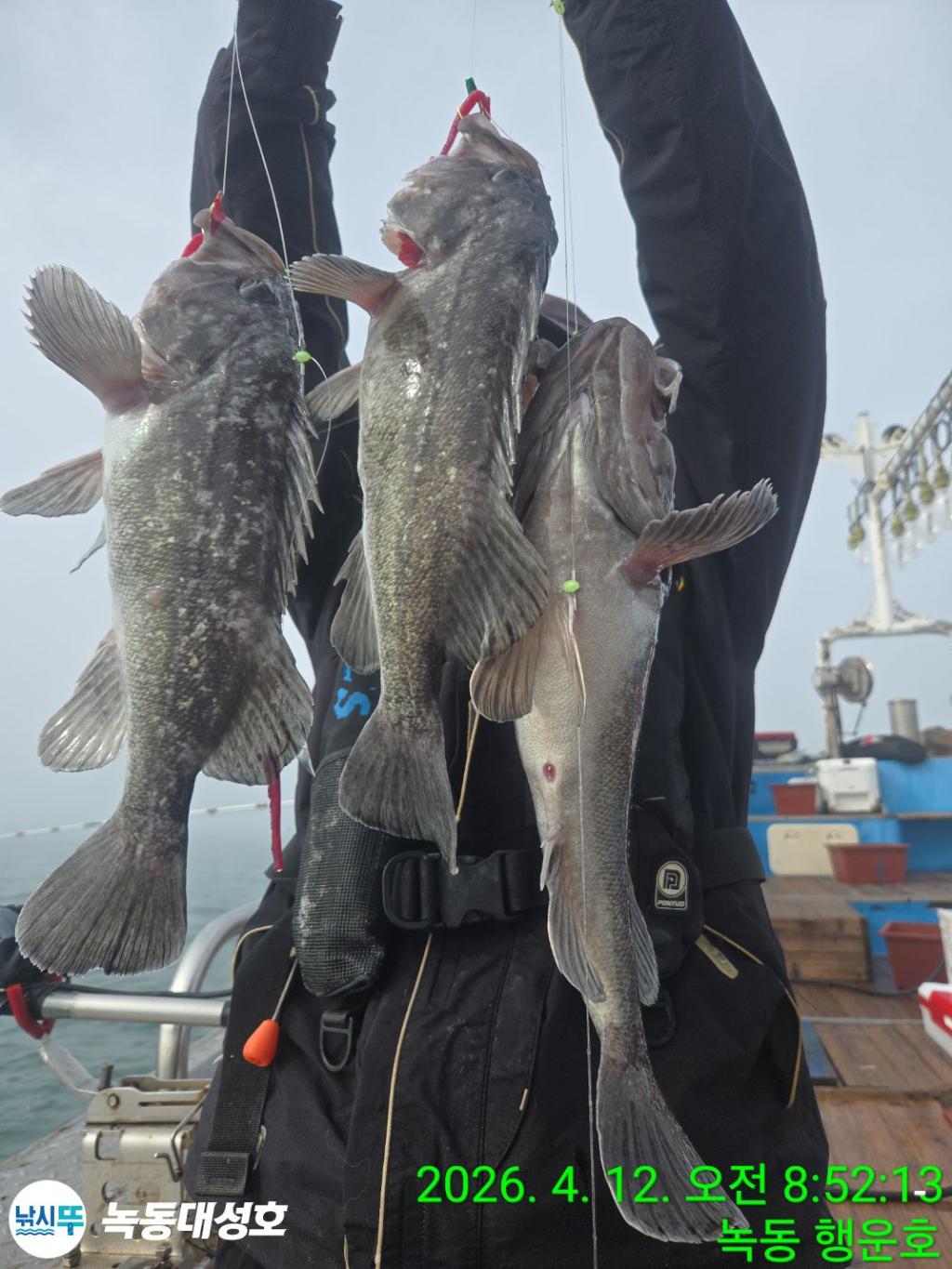 낚시뚜,열기,우럭,녹동항,녹동대성호,낚시뚜9