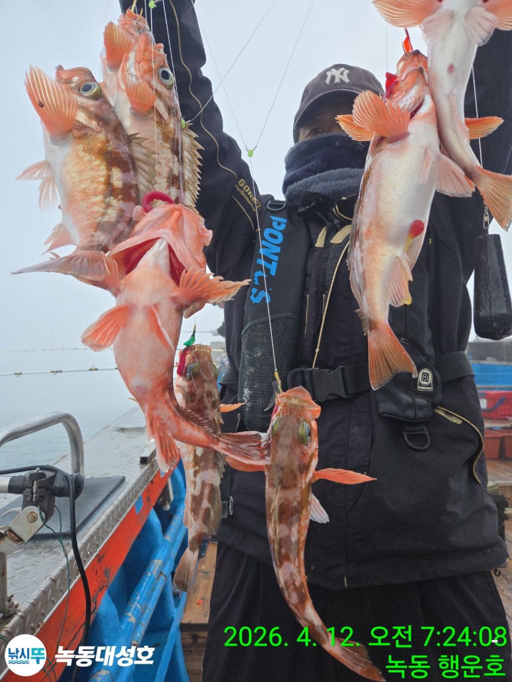 낚시뚜,열기,우럭,녹동항,녹동대성호,낚시뚜8