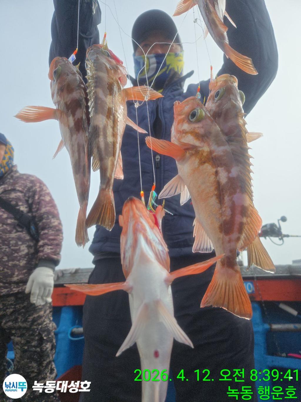 낚시뚜,열기,우럭,녹동항,녹동대성호,낚시뚜7